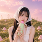 Mochi Bottle 500ml